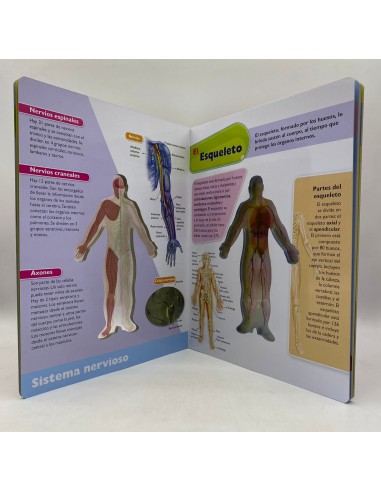 VIAJE AL CENTRO DEL CUERPO HUMANO