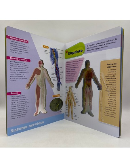 VIAJE AL CENTRO DEL CUERPO HUMANO